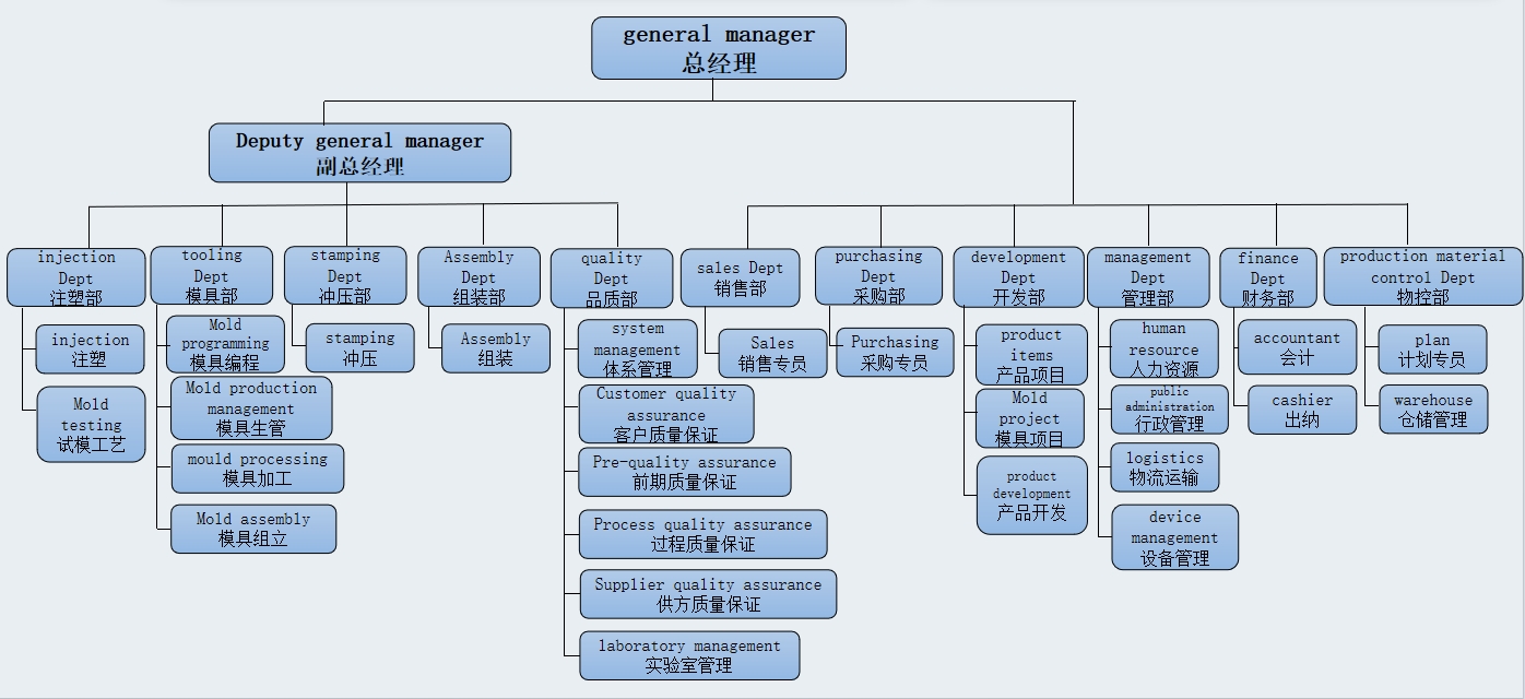 Organizational Structure